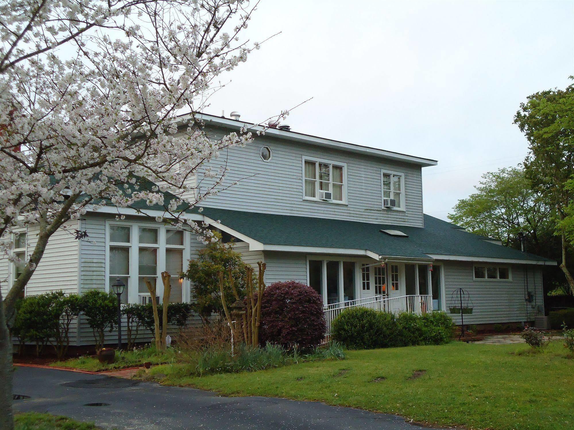 스와니스버러 Edenfield House B&B 외부 사진